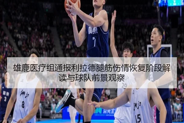 雄鹿医疗组通报利拉德腿筋伤情恢复阶段解读与球队前景观察